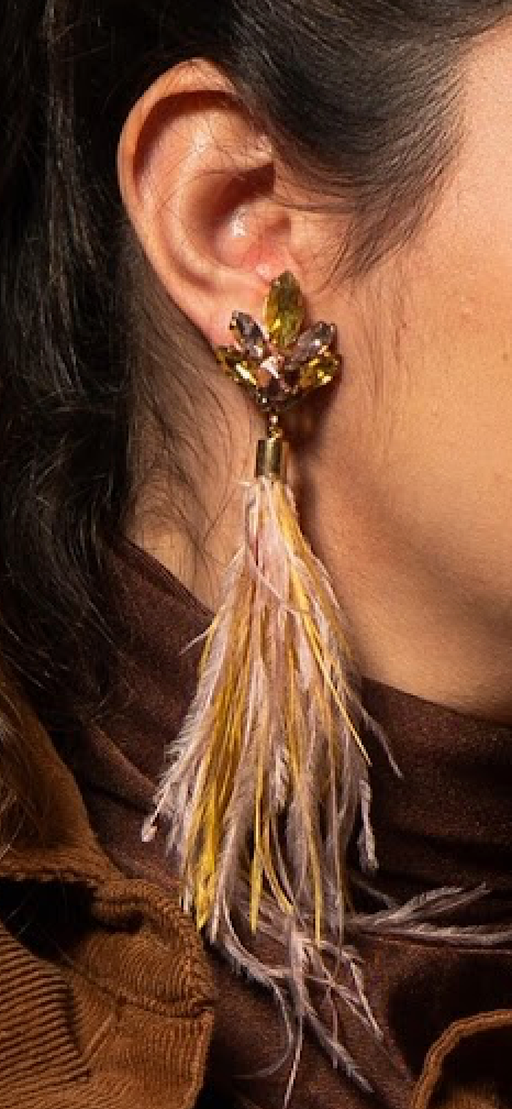 Aros- Plumas Rosa