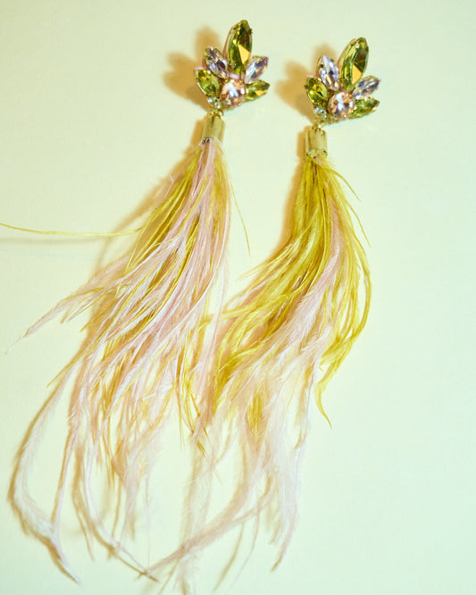 Aros- Plumas Rosa