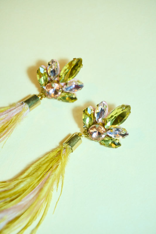 Aros- Plumas Rosa